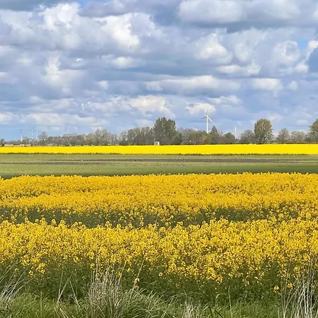 Neues Nordisch Bei Nature By & Bruns 엠덴