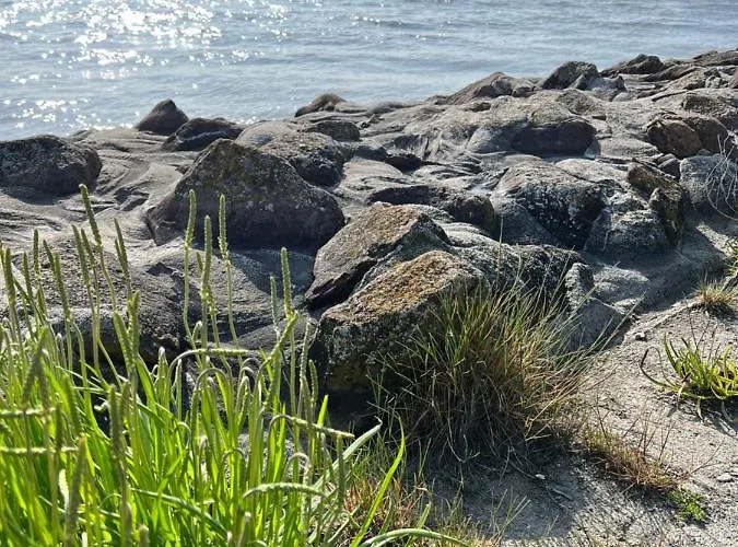 Neues Nordisch Bei Nature By & Bruns Apartman *