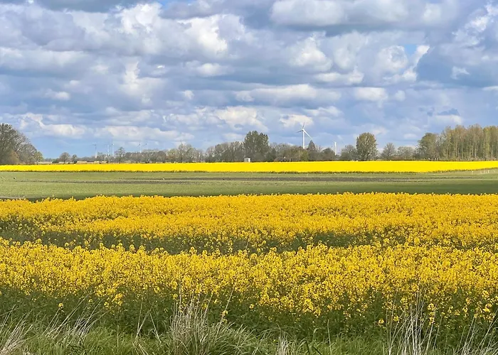 Neues Nordisch Bei Nature By & Bruns Emden